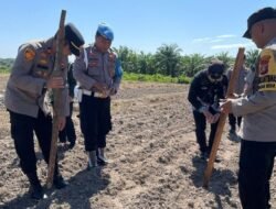 Polres Dumai Tanam Jagung, Dukung Ketahanan Pangan Kuartal IV