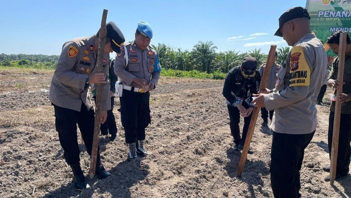 Polres Dumai Tanam Jagung, Dukung Ketahanan Pangan Kuartal IV