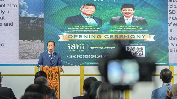 COP30 Brasil: Menteri LH Sampaikan, Bursa Karbon RI Siap Loncat ke Internasional!