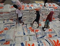 Dari Nol hingga 100, BUMN Karya Siap Revolusi Gudang Bulog dalam Setahun!