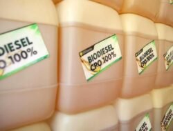 Impor Solar Menurun, Begini Jurus Pemerintah yang Membuat Heboh Pasar!