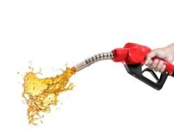 Asosiasi Bioetanol Ungkap Segudang Masalah, Apakah Mandatori E10 Akan Gagal?