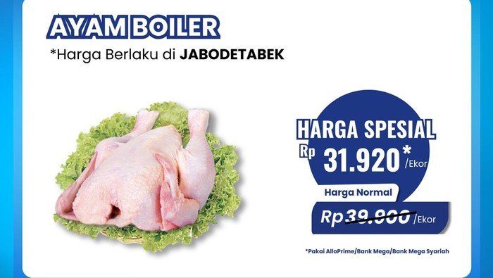 Transmart Full Day Sale! Ayam Broiler Diobral Murah: Strategi Inovatif Meraup Keuntungan di Tengah Persaingan Ketat
