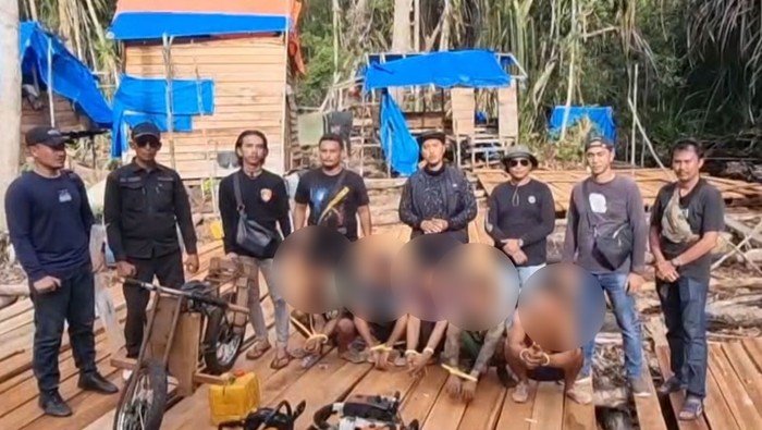 6 Tersangka Illegal Logging Ditangkap, Polres Pelalawan Berantas Penyusup di Hutan
