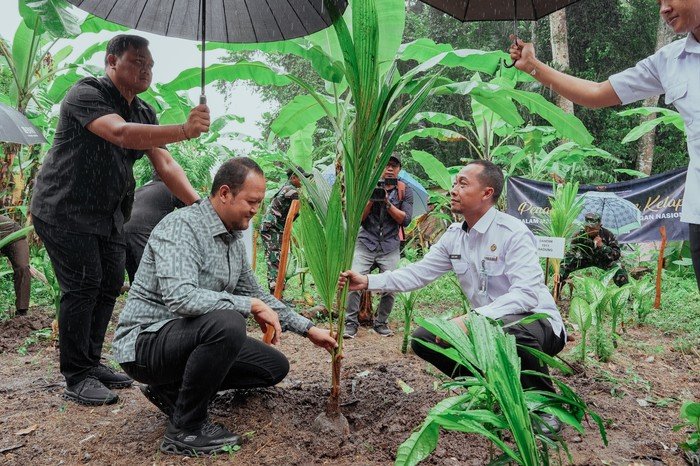 Pemkab Badung Berani, Dorong Ketahanan Pangan dan Penanaman Kelapa Nasional!