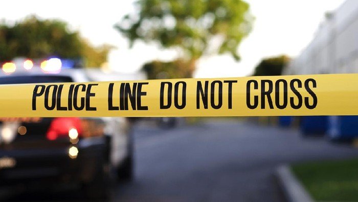 Kematian Menjijikkan: Remaja Brasil Jadi Korban Singa Setelah Masuk Kandang