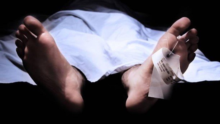 Pekerja di Bogor Tewas Tersambar Petir Saat Perbaiki Gerbang Perumahan - Update 2