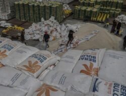 RI Mau Ekspor 1 Juta Ton Beras, Menyelamatkan Ekonomi atau Tantangan Logistik?