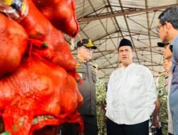 Bawang Bombai Ilegal Beredar, Mentan Sita 133,5 Ton di Semarang, Apa yang Terjadi?