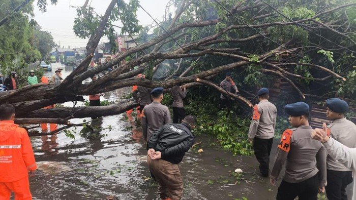 Tragedi Banjir dan Pohon Tumbang di Priok: Brimob Polda Metro Turun!