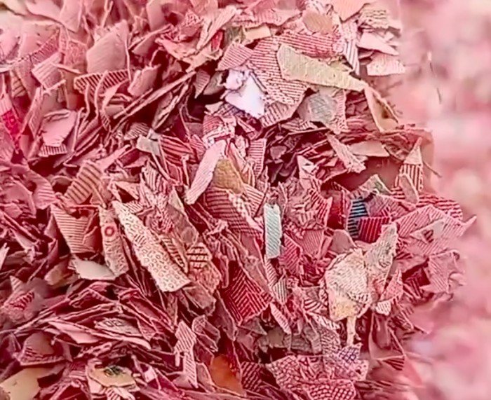 Awal Mula Temuan Cacahan Kertas Diduga Uang di TPS Bekasi - Update 2