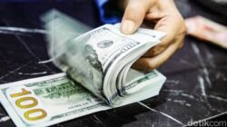 Bea Cukai AS Rilis Sistem Refund Rp2.809 T, Solusi Cerdas untuk Importir!