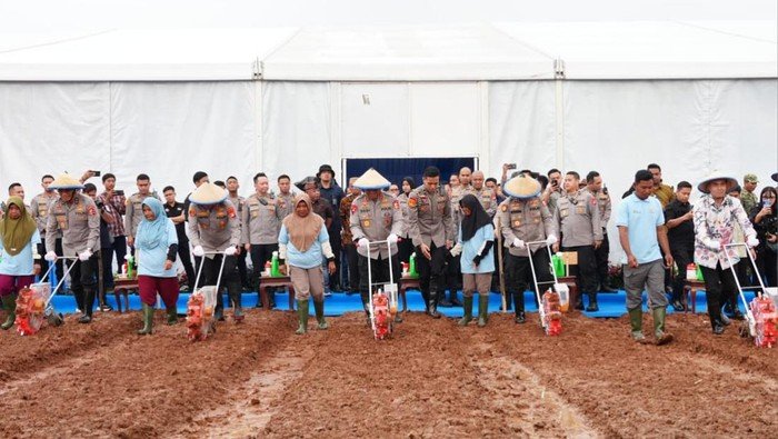 Tanam Jagung Serentak 2026, Polri Gelontorkan Alat Berat ke Petani