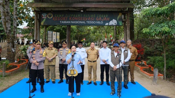 Titiek Soeharto Soroti, Tesso Nilo Harus Kembali Sebagai Rumah Gajah