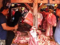 Daging Sapi RI 226.000 Ton, Apakah Akan Mampu Menyelamatkan Pasar Jelang Lebaran?